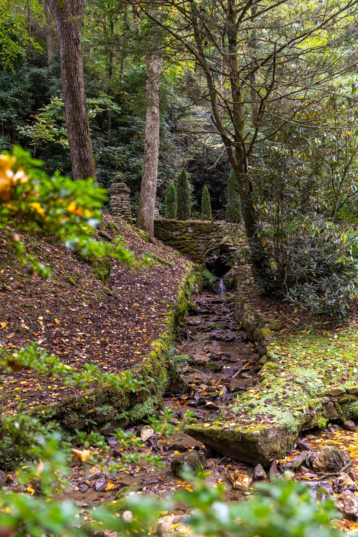 A serene scene with a gentle stream bordered by a stone wall and tall trees, evoking a deep sense of tranquility and connection to nature. The lush setting encourages relaxation, reflection, and outdoor inspiration.